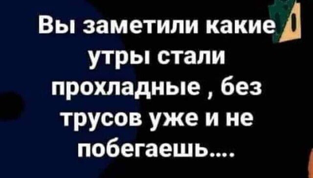 Вы заметили какие А утры стали прохладные без трусов уже и не побегаешь