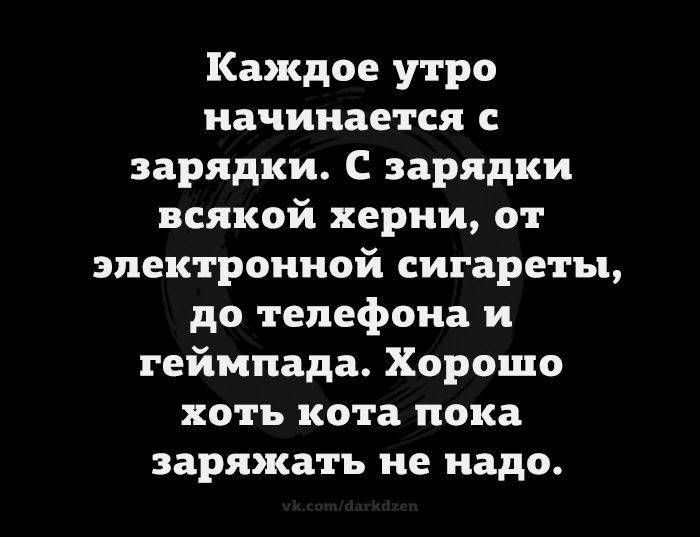 Каждое утро начинается с зарядки С зарядки всякой херни от электронной сигареты до телефона и геймпада Хорошо хоть кота пока заряжать не надо