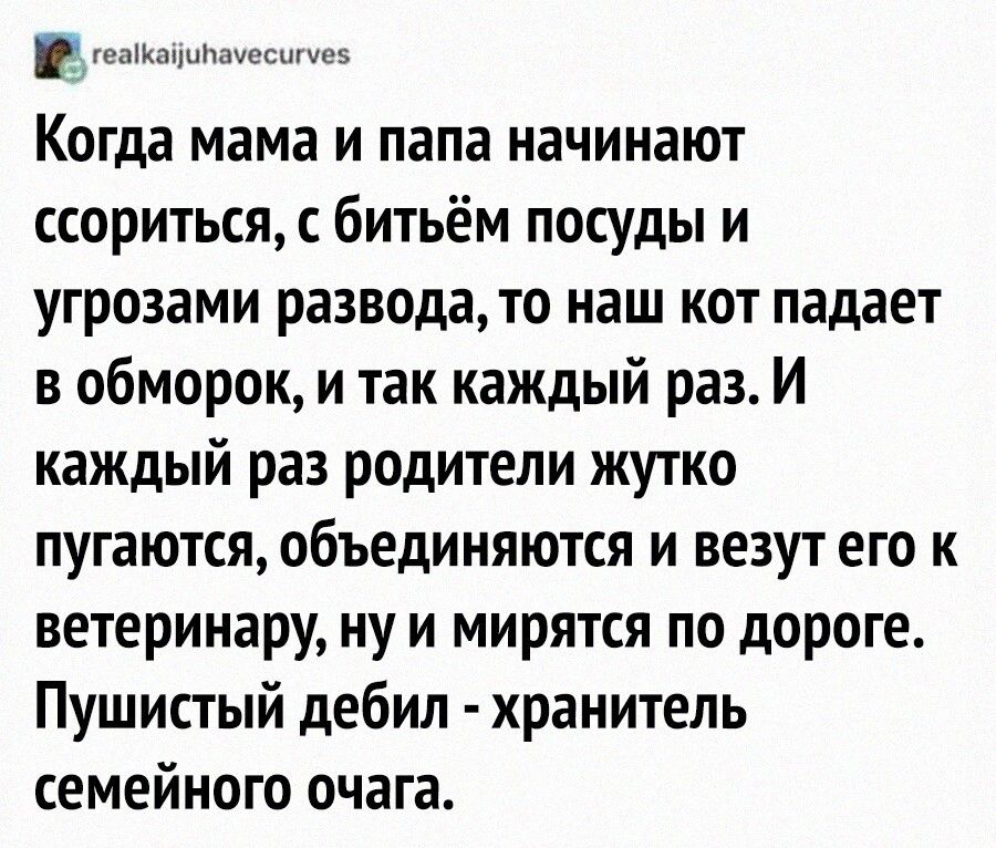 ютюцппмотпупэ Когда мама и папа начинают ссориться с битьём посуды и угрозами развода то наш кот падает в обморок и так каждый раз И каждый раз родители жутко пугаются объединяются и везут его к ветеринару ну и мирятся по дороге Пушистый дебил хранитель семейного очага