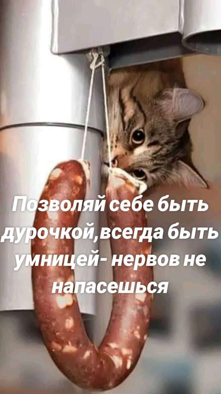 нерво не бед 1