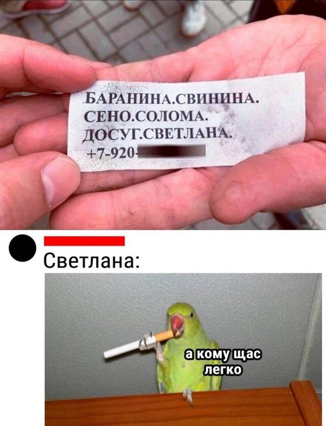 БАРАНПН свищи сино со пом дбсуг вит чым _ 7 920_