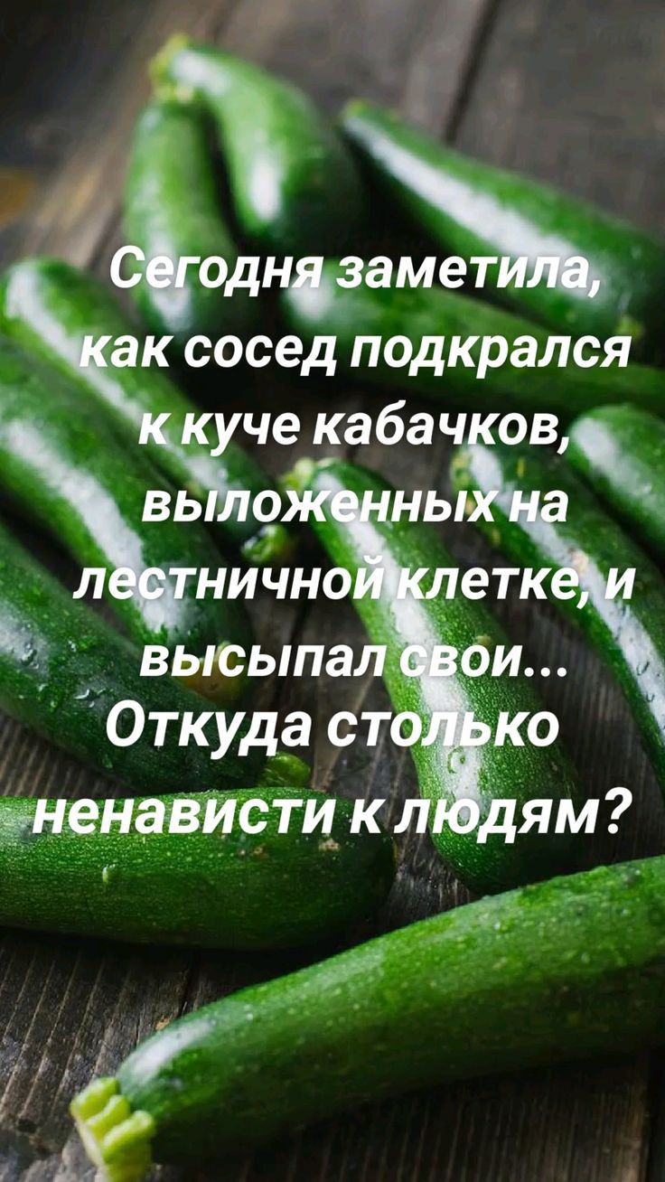 однзамет ак сосед подкрался к че кабач ов