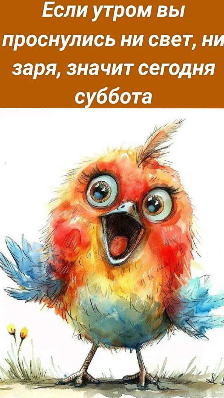 Если утром вы проснулись ни свет н заря значит сегодня суббота