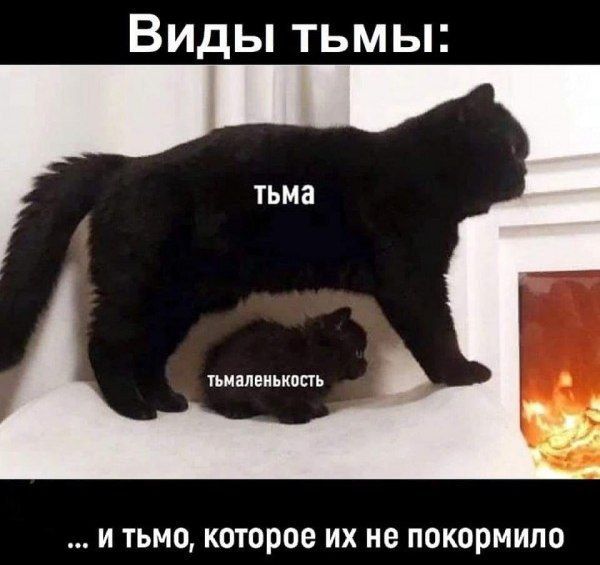 Виды тьмы тымаленькость И тьмо которое их не покормило