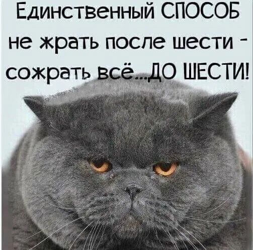 Единственный СПОСОБ не жрать после шести ДО ШЕСТИ аа