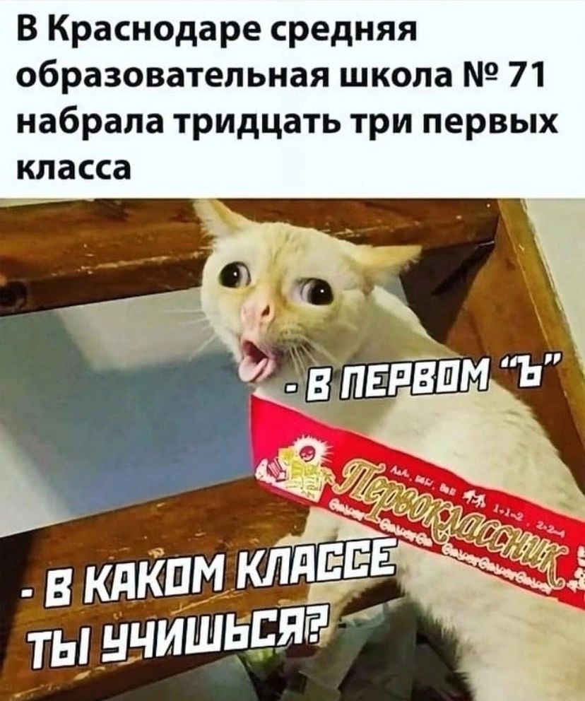 В Краснодаре средняя образовательная школа 71 набрала тридцать три первых класса