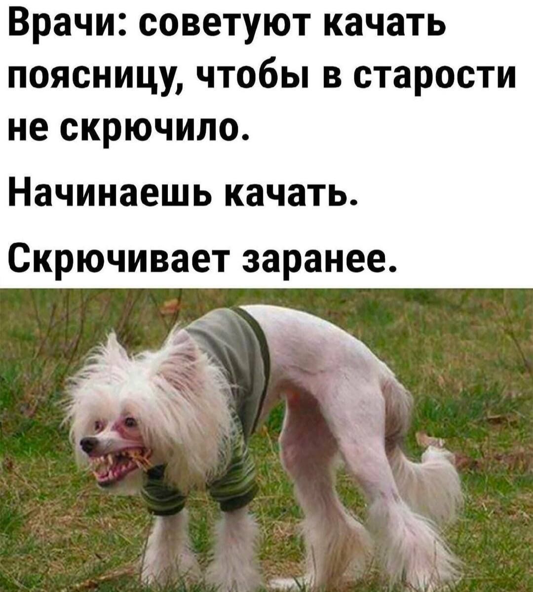 Врачи советуют качать поясницу чтобы в старости не скрючило Начинаешь качать Скрючивает заранее