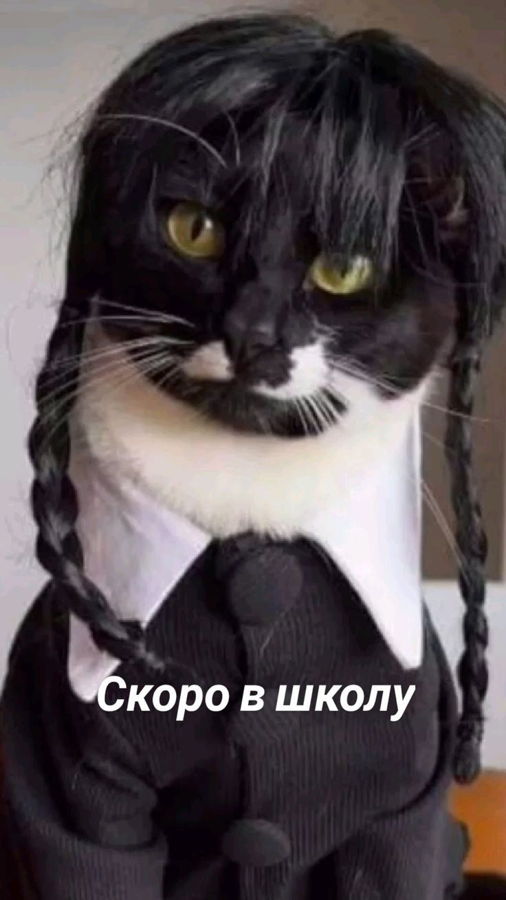 Ькбро вшколу