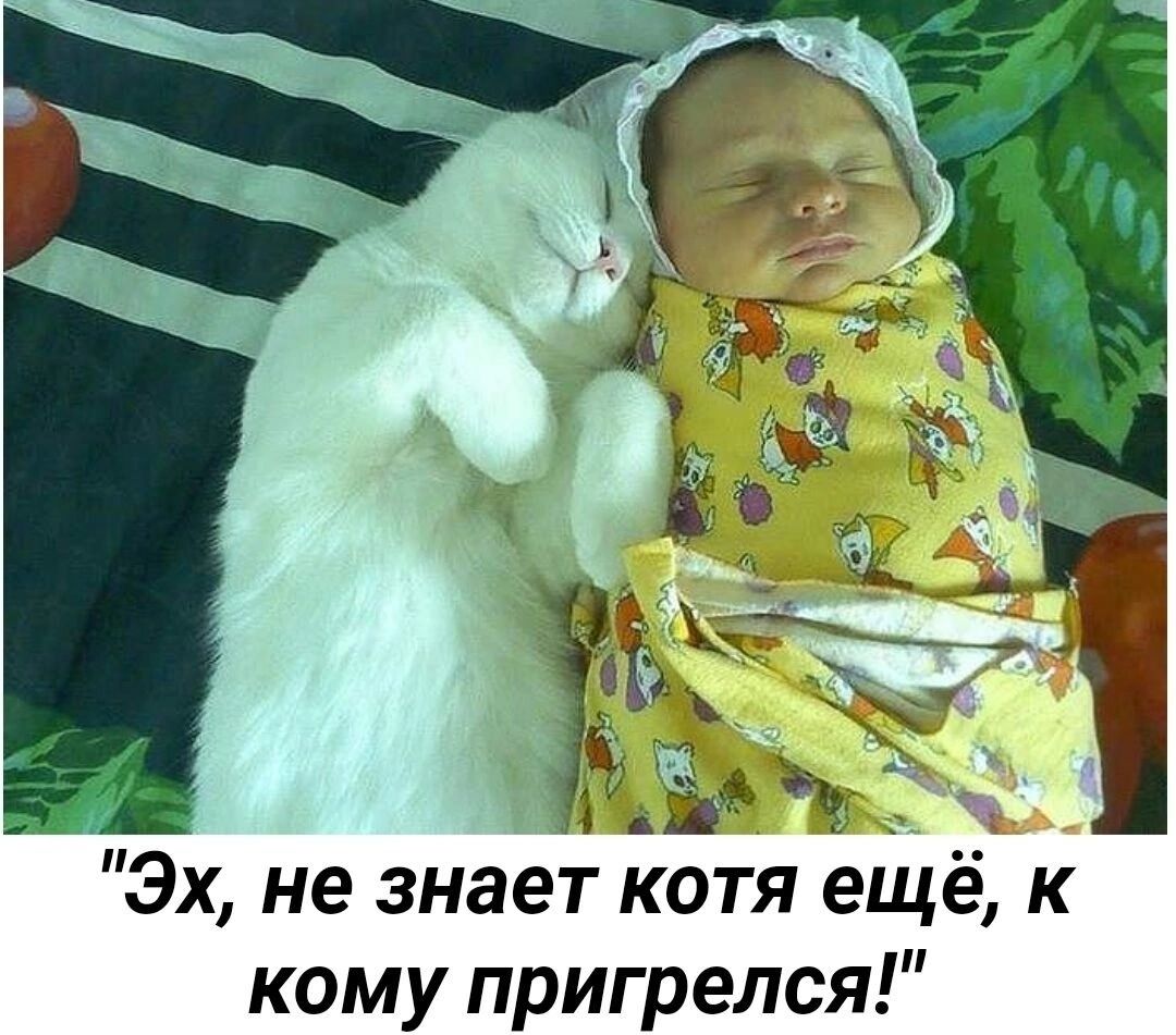 5 1 Эх не знает котя еще к кому пригрелся