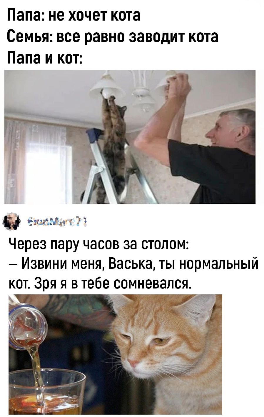 Папа не хочет кота Семья все равно заводит кота Папа и кот Через пару часов за столом Извини меня Васька ты нормальный кот Зря я в тебе сомневался Р В й аьа