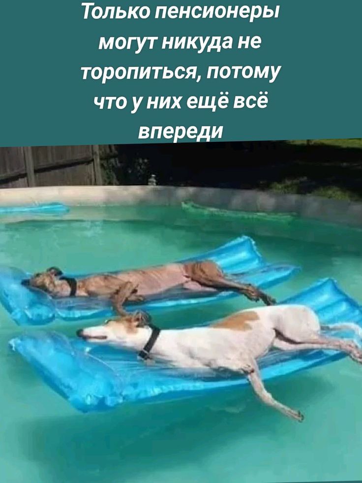 Только пенсионеры могут никуда не торопиться потому что у них ещё всё впереди