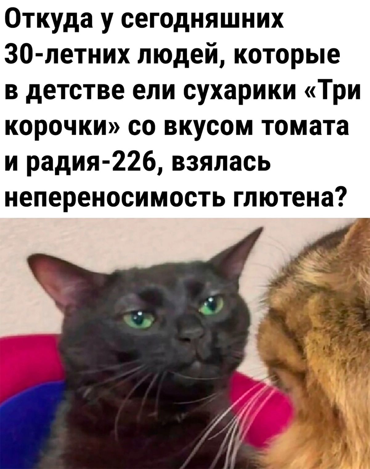 Откуда у сегодняшних З0 летних людей которые в детстве ели сухарики Три корочки со вкусом томата и радия 226 взялась непереносимость глютена