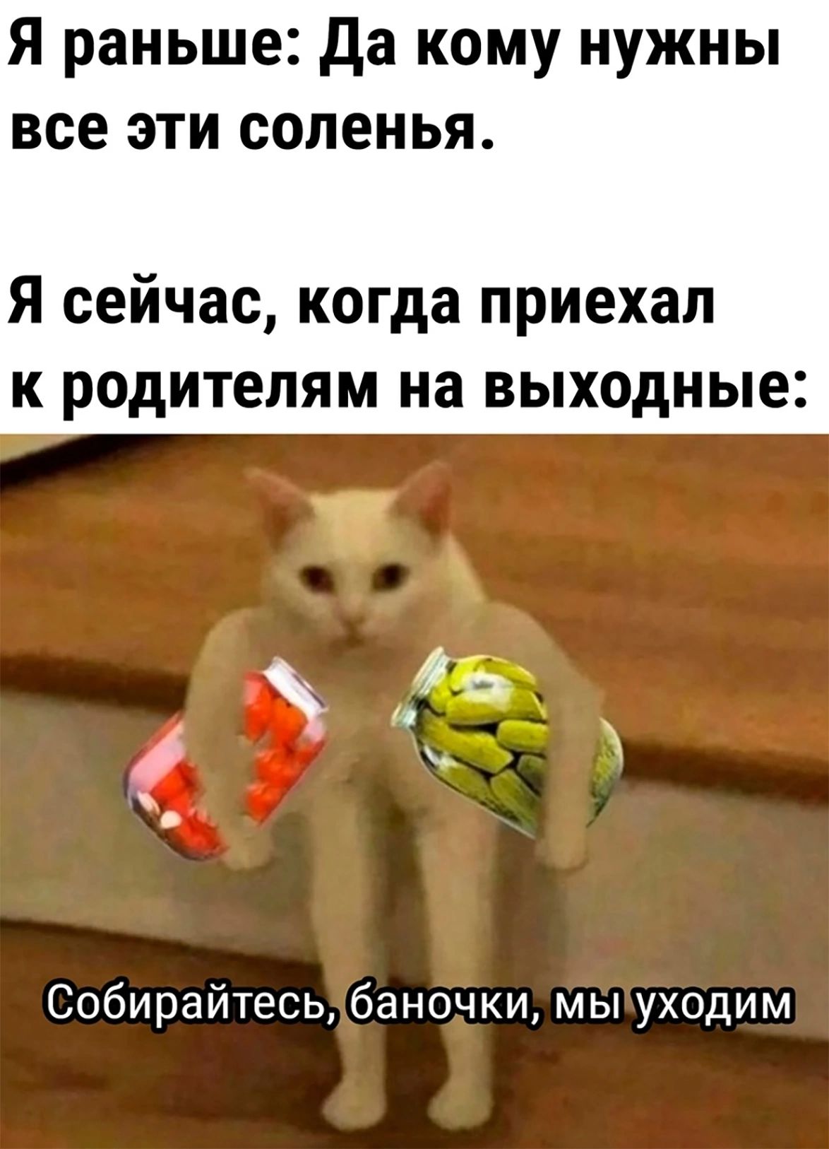 Я раньше Да кому нужны все эти соленья Я сейчас когда приехал к родителям на выходные Е2 И Собирайтесьбаночки мыуходим