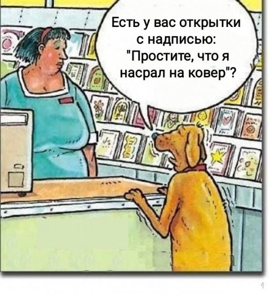 Есть у вас открытки с надписью Простите что я ЙМ насрал на ковер
