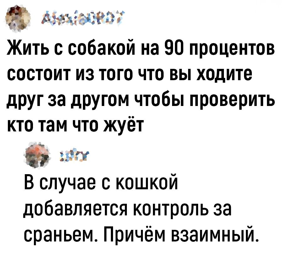 8 АБеЗлОНВОх Жить с собакой на 90 процентов состоит из того что вы ходите друг за другом чтобы проверить кто там что жуёт х В случае с кошкой добавляется контроль за сраньем Причём взаимный