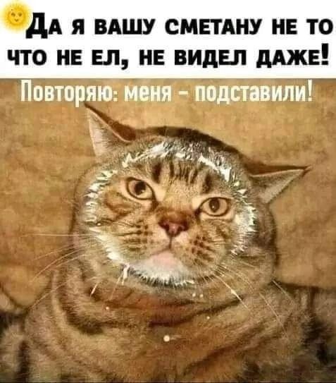 дА Я ВАШУ СМЕТАНУ НЕ ТО ЧТО НЕ ЕЛ НЕ ВИДЕЛ ДАЖЕ Повторяю меня подставили Ъ Миз Р Ж Ь ЛОЙ