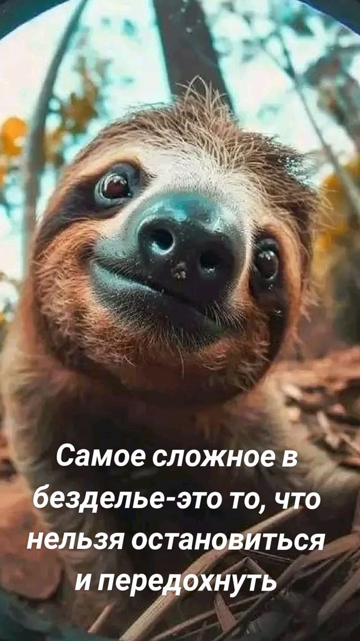 ь Самое сложное в безделье это то что нельзя остановйться Г ПерЗДОХНУТЬ ч