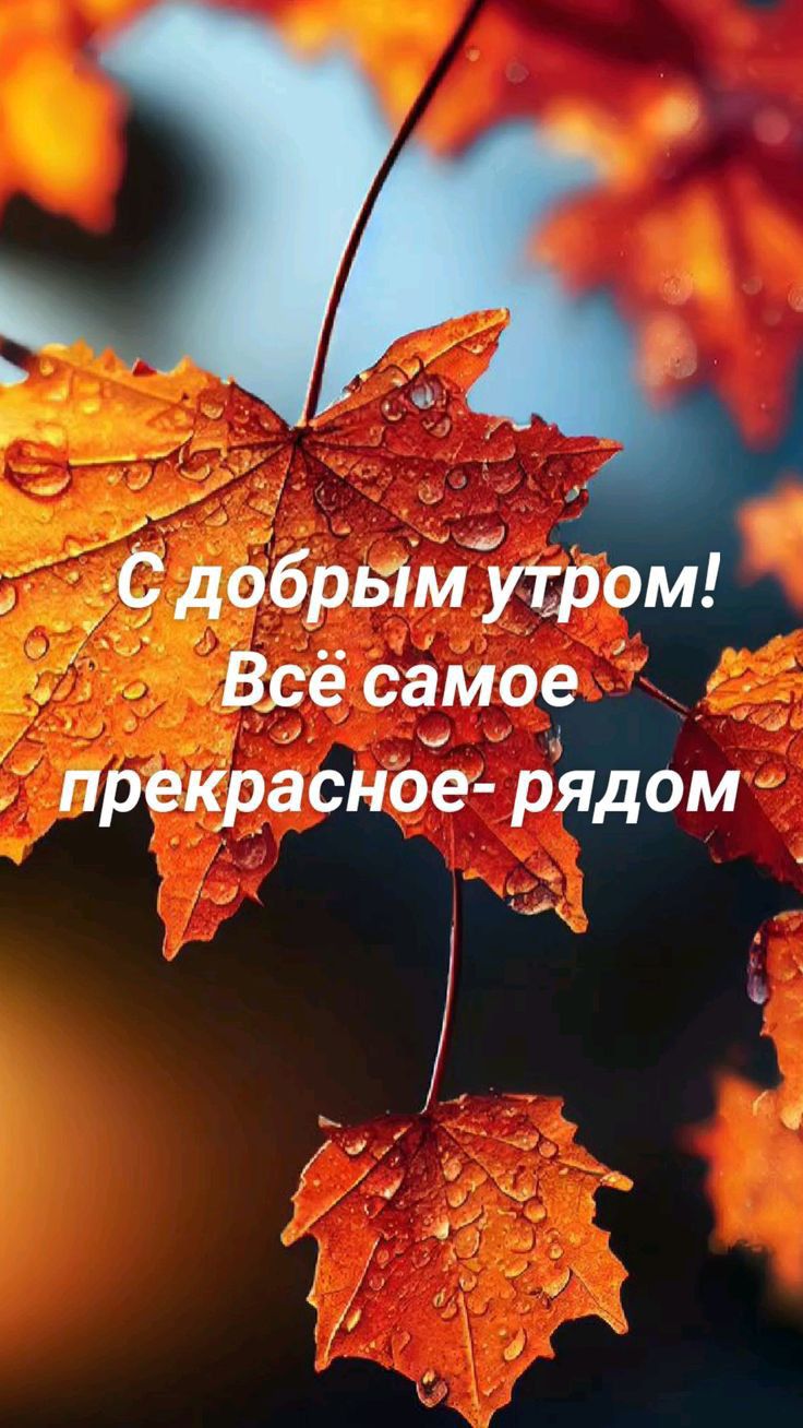 у ддабРЫМЁЩОм Все самое прекрасное рядом