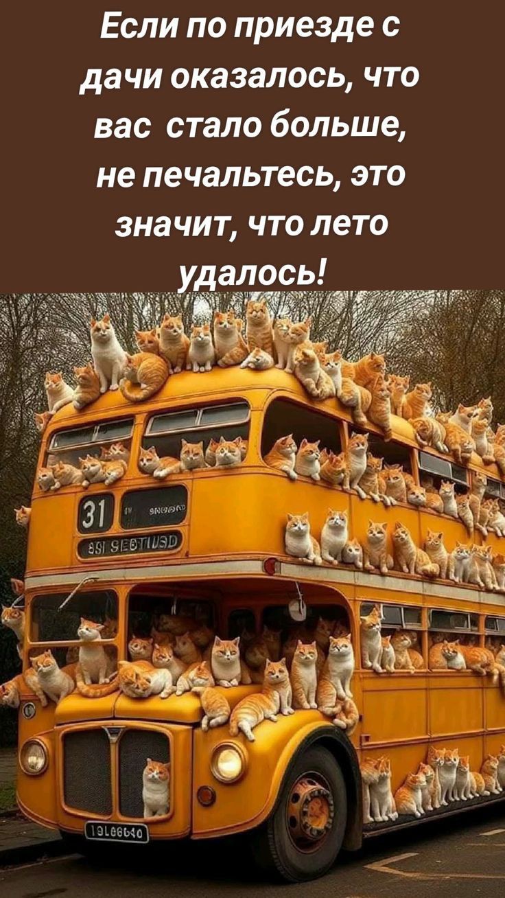 Если по приезде с дачи оказалось что вас стало больше не печальтесь это значит что лето