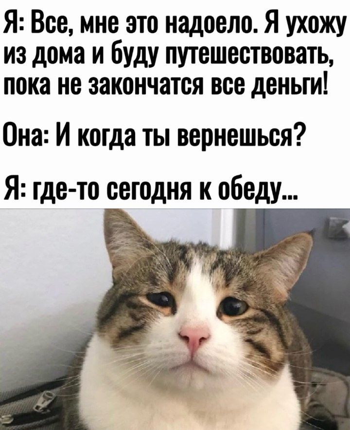 Я Все мне это надоело Я ухожу из дома и буду путешествовать пока не закончатся все деньги Она И когда ты вернешься Я где то сегодня к обеду