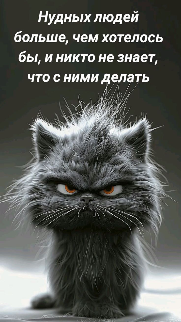 Нудных людей больше чем хотелось бы и никто не знает что с нИМИ