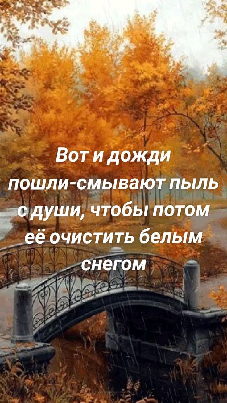 Вот и дожди пошли смывают пыль души чтобы потом _её очистить белым снегом