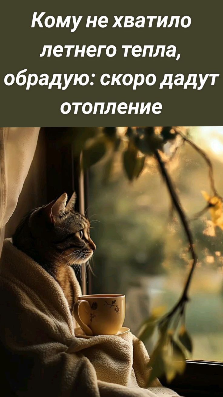 Кому не хватило летнего тепла обрадую скоро дадут отопление 7 43 Й Эй