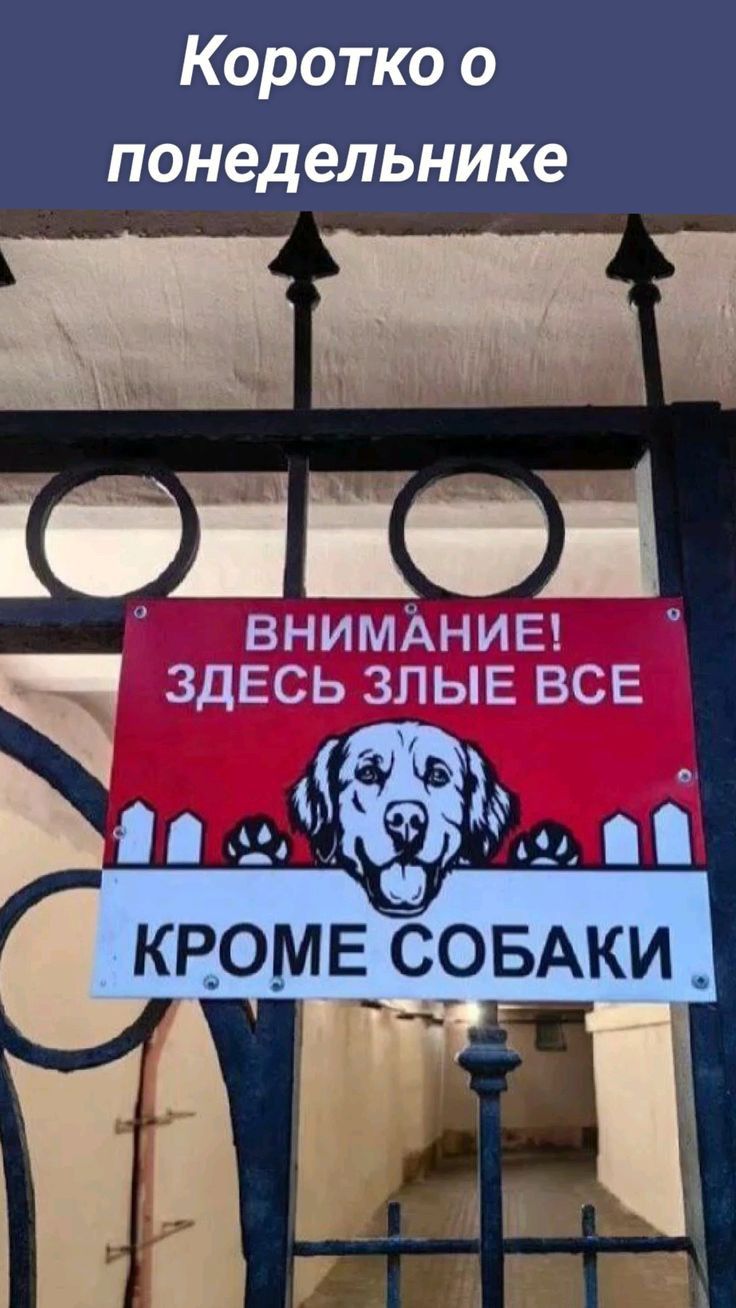 Коротко о понедельнике в чРли ВНИМАНИЕ ЗДЕСЬ ЗЛЫЕ ВСЕ
