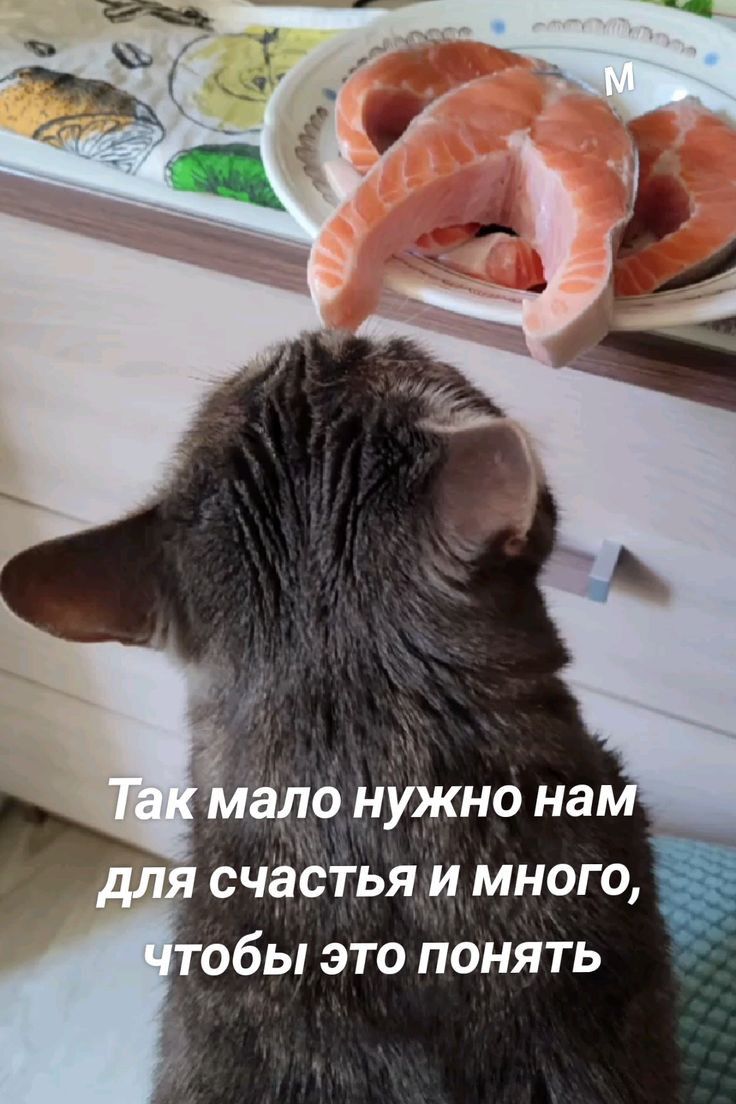 ло нужно на я счастья и много