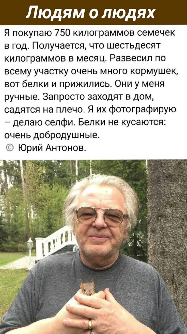 Людям о людях Я покупаю 750 килограммов семечек в год Получается что шестьдесят килограммов в месяц Развесил по всему участку очень много кормушек вот белки и прижились Они у меня ручные Запросто заходят в дом садятся на плечо Я их фотографирую делаю селфи Белки не кусаются очень добродушные Юрий Антонов ОООа Вылний