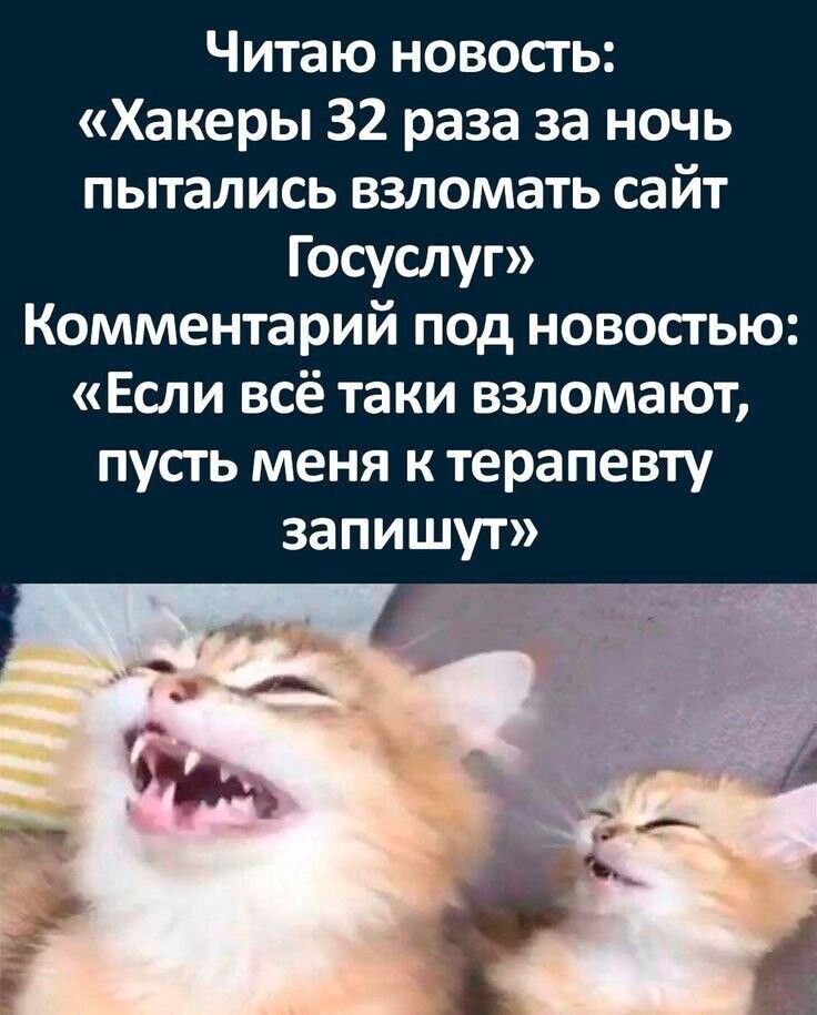 Читаю новость Хакеры 32 раза за ночь пытались взломать сайт Госуслуг Комментарий под новостью Если всё таки взломают пусть меня к терапевту запишут