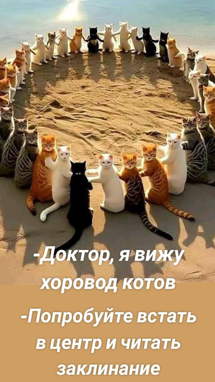 доктор я виж хоровод котов Попробуйте встать в центр и читать заклинание