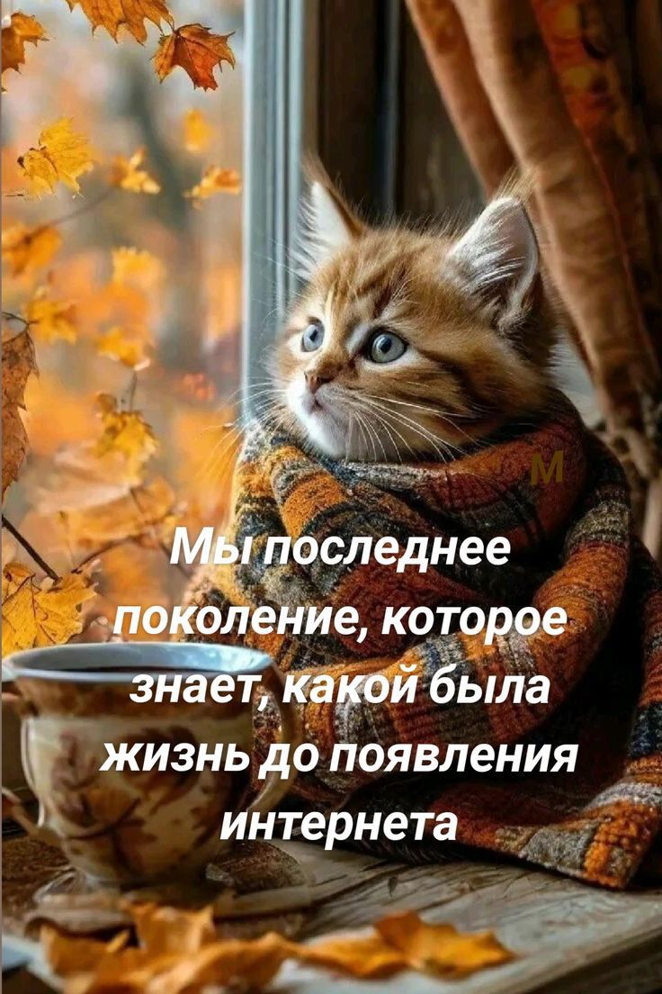 жизнь до появления интернета Ча