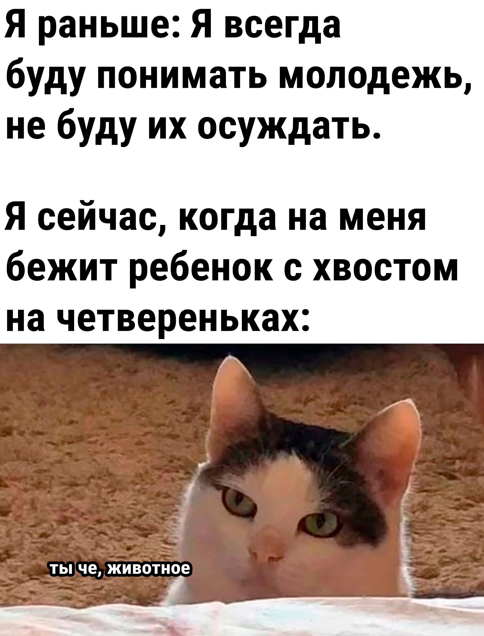 Я раньше Я всегда буду понимать молодежь не буду их осуждать Я сейчас когда на меня бежит ребенок с хвостом на четвереньках