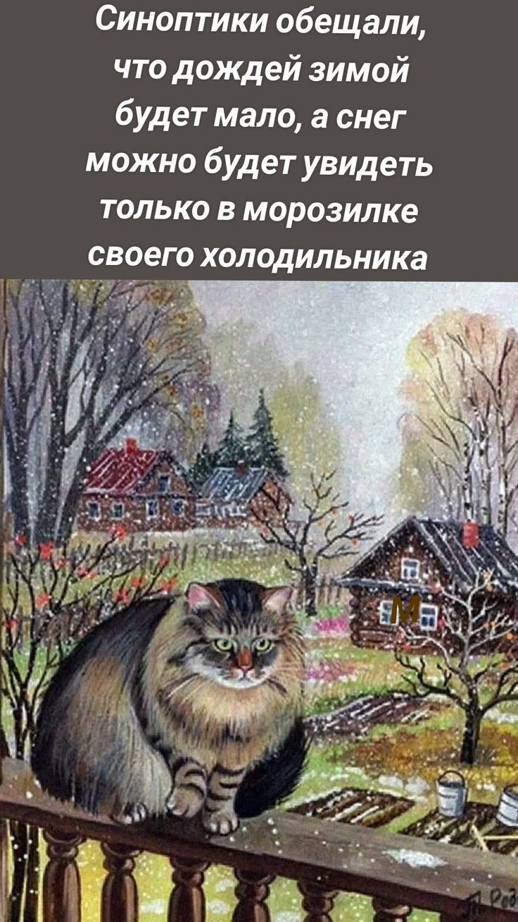 Синоптики обещали что дождей зимой будет мало а снег можно будет увидеть только в морозилке своего холодильника