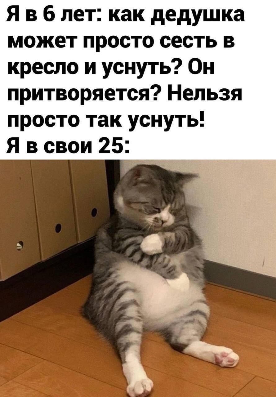 Явб лет как дедушка может просто сесть в кресло и уснуть Он притворяется Нельзя просто так уснуть Я в свои 25