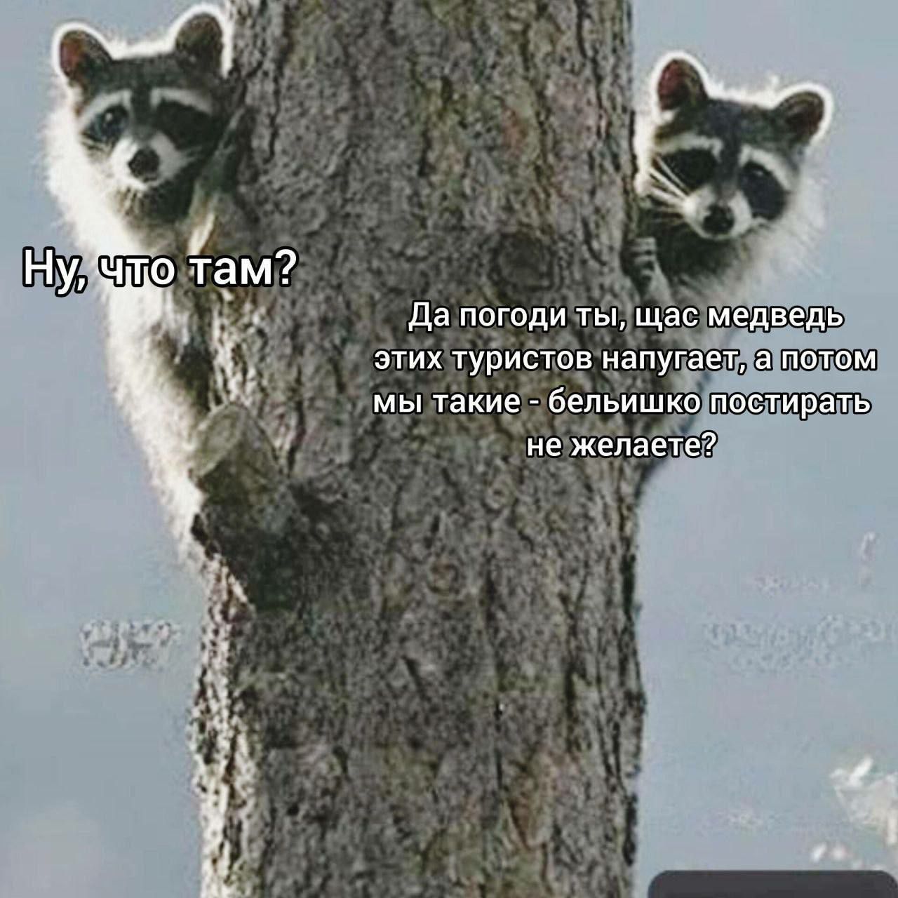 НулЧло там ДапогодитЬМЩа этих туристов напугаетдаподом