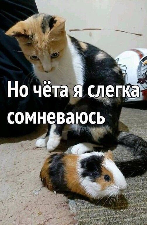 Э сомневаюсь