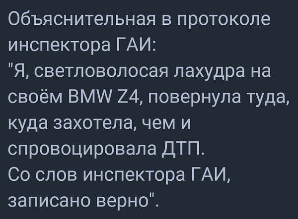 Объяснительная в протоколе инспектора ГАИ Я светловолосая лахудра на своём ВМ 24 повернула туда куда захотела чем и спровоцировала ДТП Со слов инспектора ГАИ записано верно