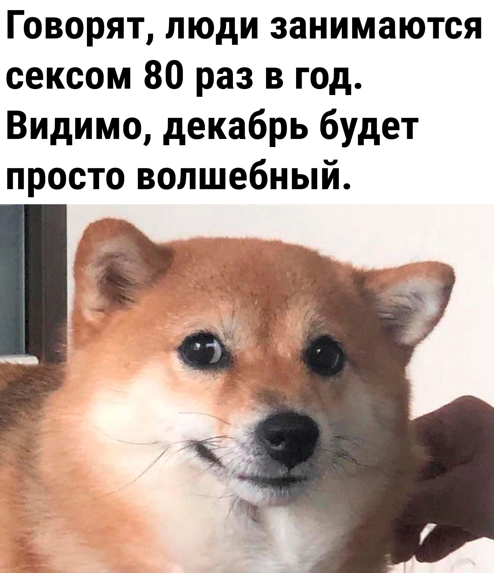 Говорят люди занимаются сексом 80 раз в год Видимо декабрь будет просто волшебный В т
