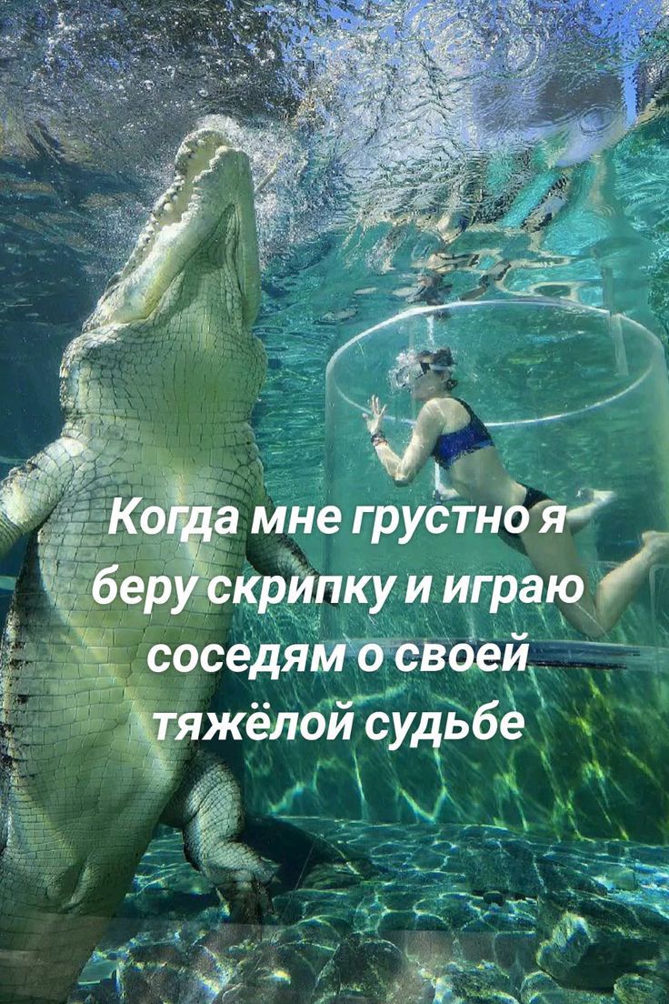 і а мне грустнб крЪпкуииграю оседяштсвеи Жёлой судьбг