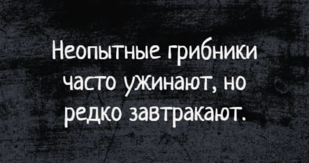Неопытные грибники часто ужинают но редко завтракают
