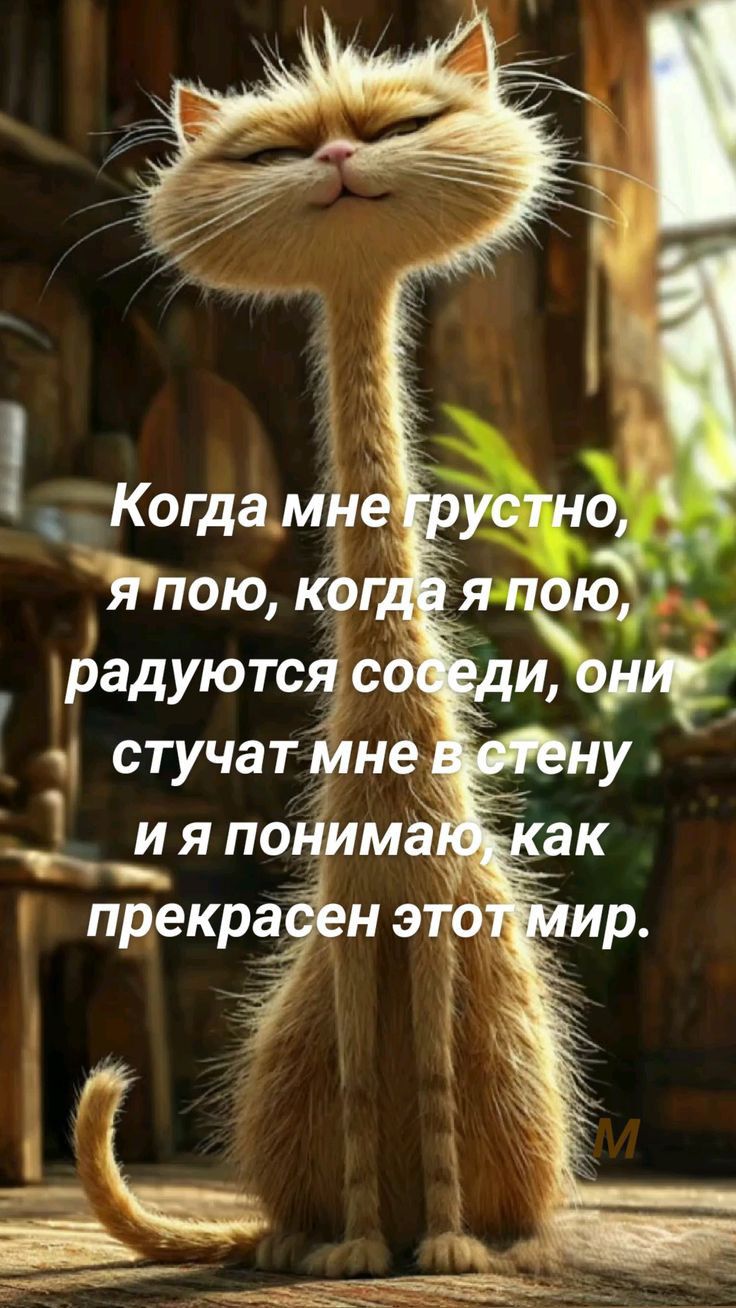 радуются сое э стучат мнеВв 3