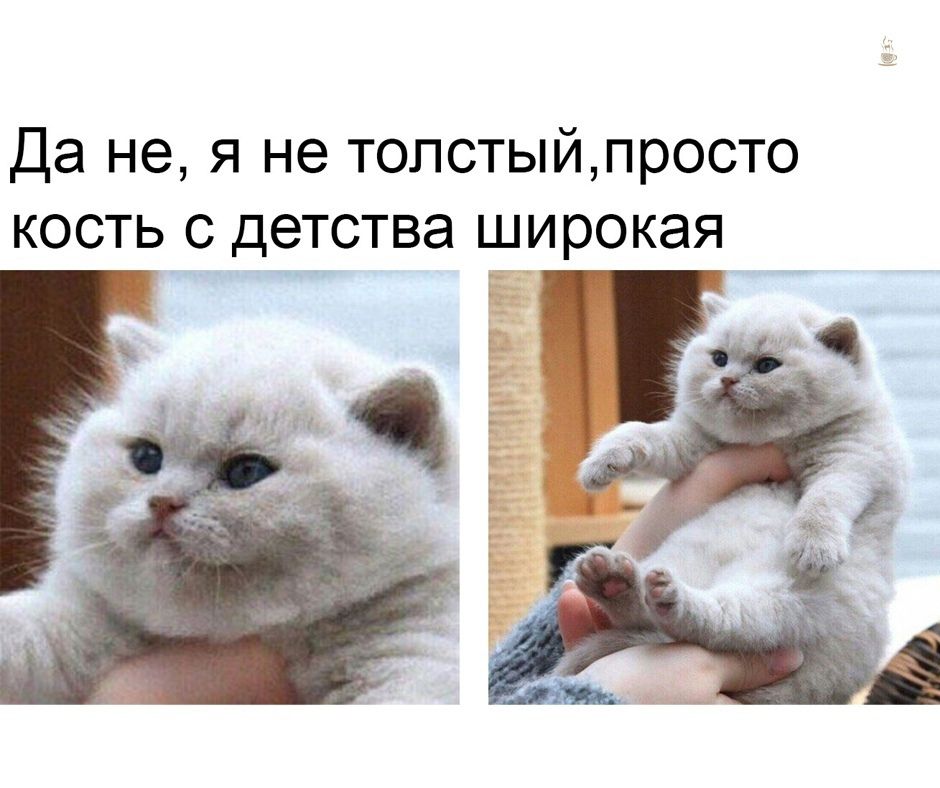 Да не я не толстыйпросто кость с детства широкая Га