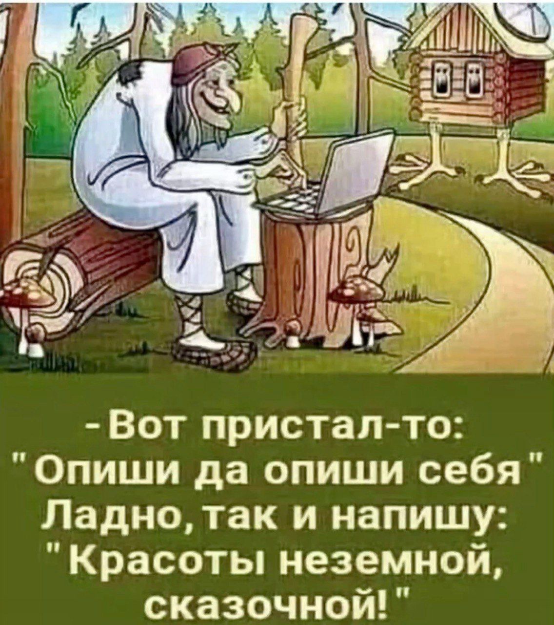 Вот пристал то Опиши да опиши себя Ладно так и напишу Красоты неземной сказочной