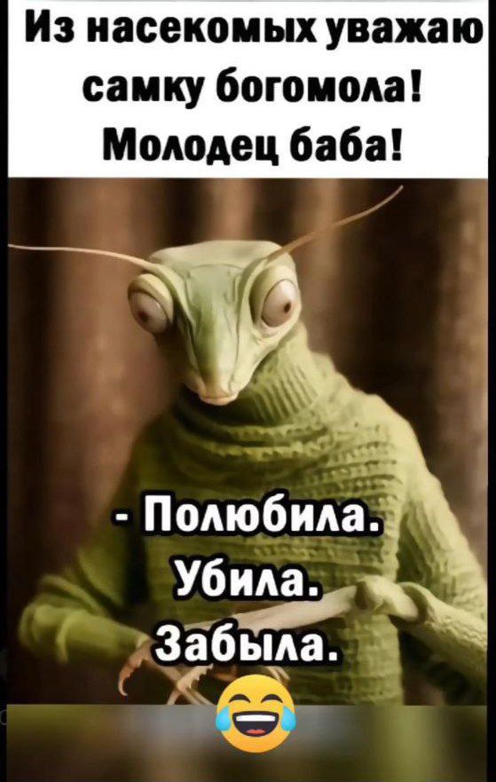 Из насекомых уважаю самку богомола Молодец баба ы Полюбила 1 Убила__ 1 о Забьма