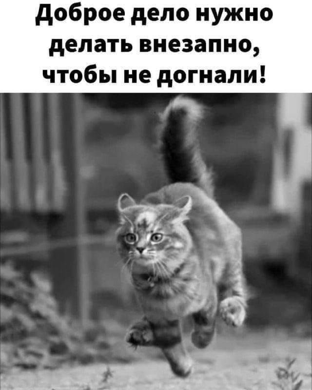 Доброе дело нужно делать внезапно чтобы не догнали