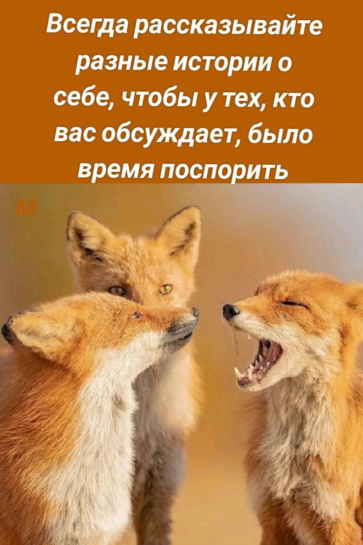 Всегда рассказывайте разные истории о себе чтобы у тех кто вас обсуждает было время поспорить