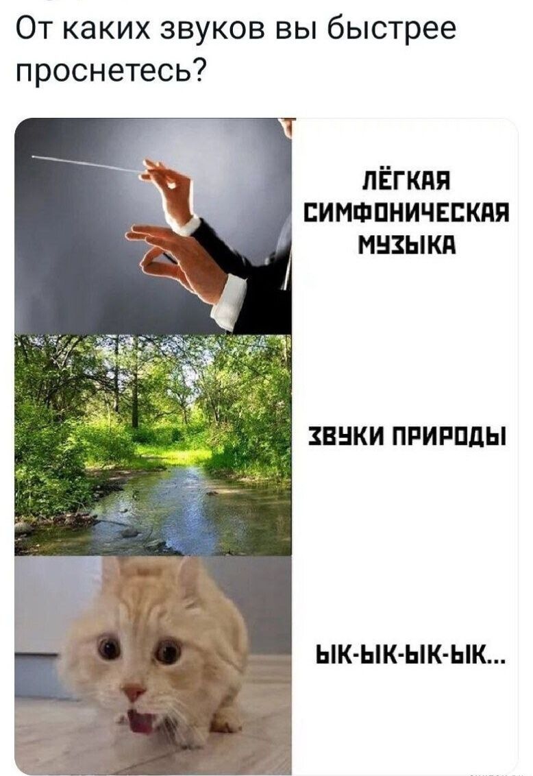 От каких звуков вы быстрее проснетесь ЛЁГКАЯ СИМФОНИЧЕСКАЯ МУХЫКА ХВУКИ ПРИРОДЫ ЫК ЫК ЫК ЫК