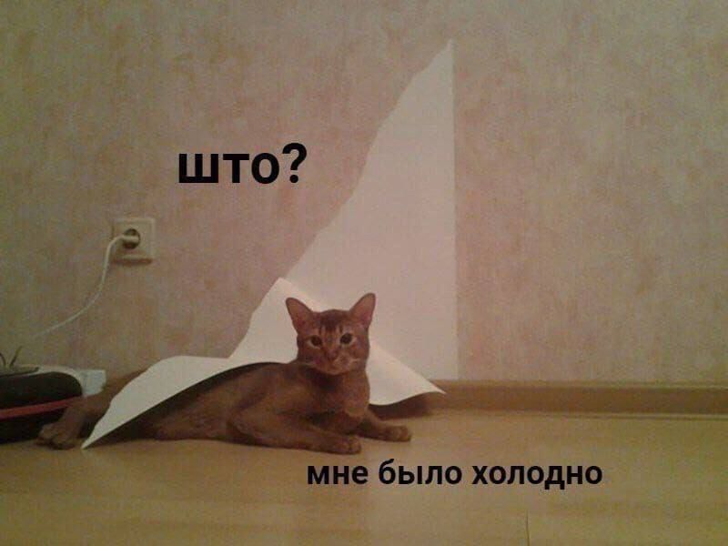 мне было холодно